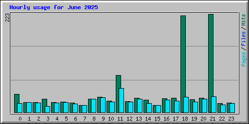Hourly usage for June 2025