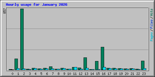 Hourly usage for January 2026